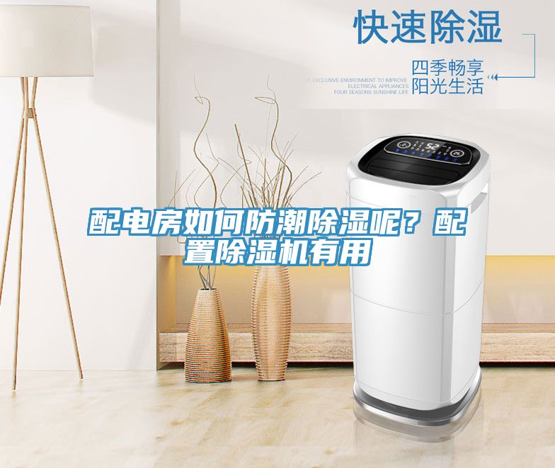 配電房如何防潮除濕呢？配置草莓污视频在线看有用