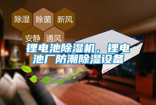 鋰電池草莓污视频在线看，鋰電池廠防潮除濕設備