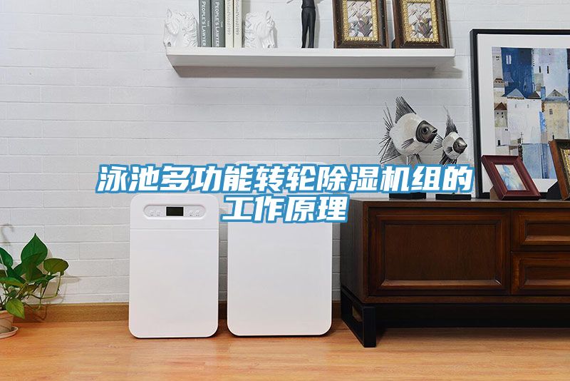 泳池多功能轉輪草莓污视频在线看組的工作原理
