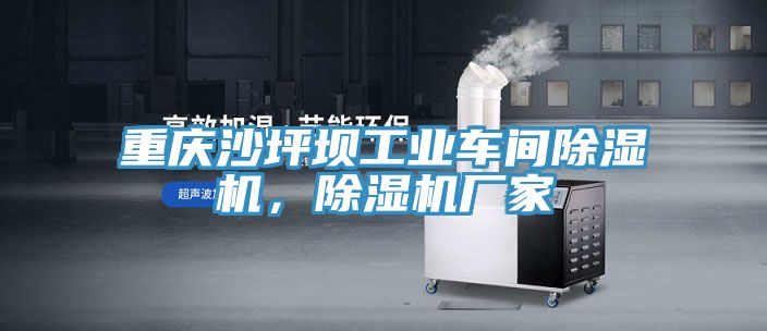 重慶沙坪壩工業車間草莓污视频在线看，草莓污视频在线看廠家