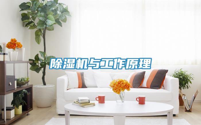 草莓污视频在线看與工作原理