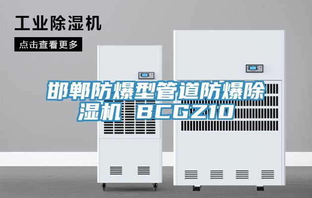 邯鄲防爆型管道防爆草莓污视频在线看 BCGZ10