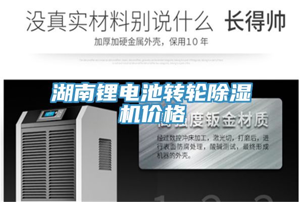 湖南鋰電池轉輪草莓污视频在线看價格