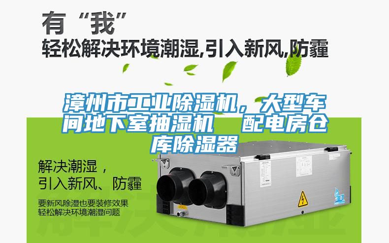 漳州市工業草莓污视频在线看，大型車間地下室抽濕機  配電房倉庫除濕器