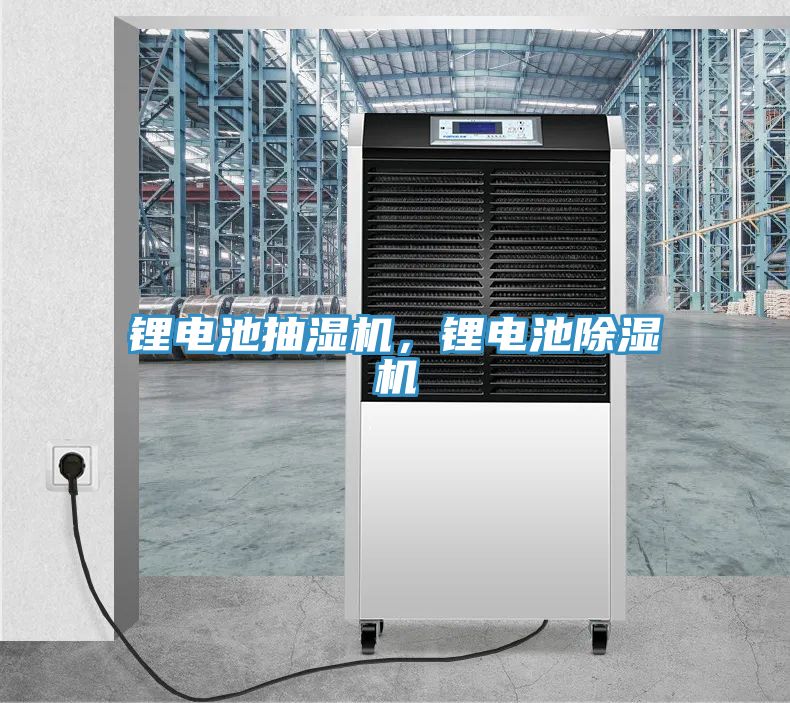 鋰電池抽濕機，鋰電池草莓污视频在线看