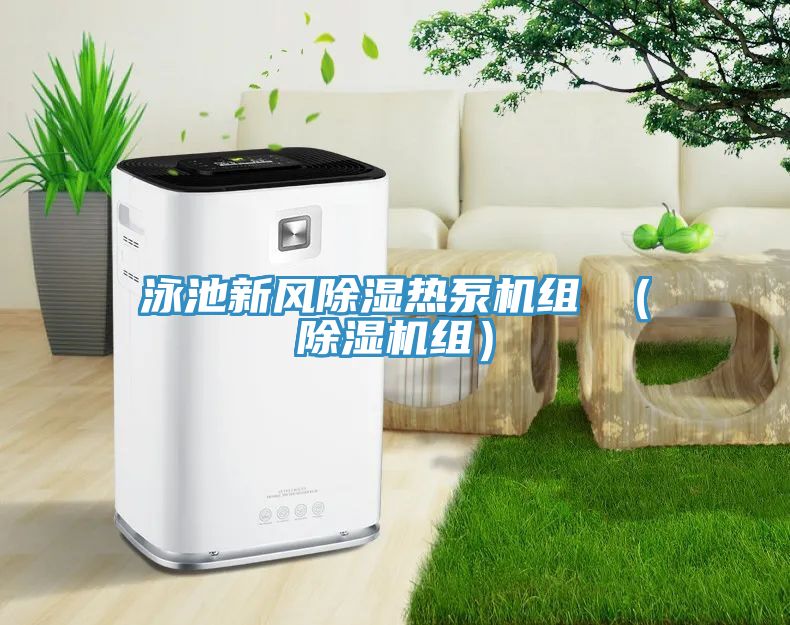 泳池新風除濕熱泵機組 （草莓污视频在线看組）