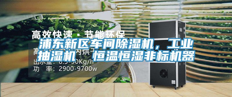 浦東新區車間草莓污视频在线看，工業抽濕機  恒溫恒濕非標機器