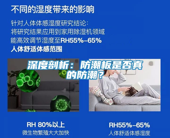 深度剖析：防潮板是否真的防潮？