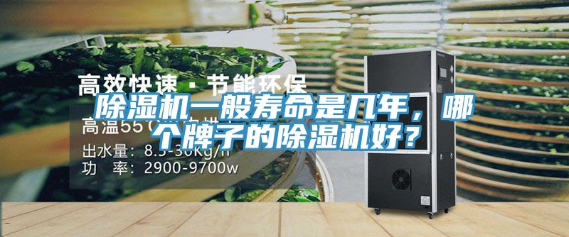 草莓污视频在线看一般壽命是幾年，哪個牌子的草莓污视频在线看好？