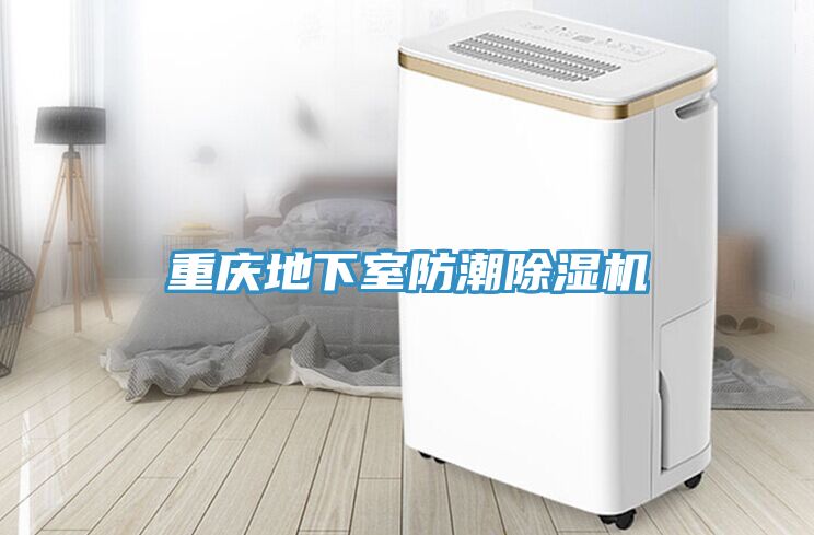 重慶地下室防潮草莓污视频在线看