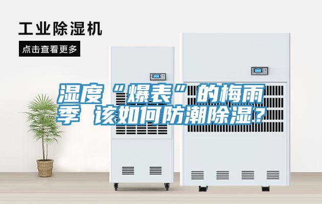 濕度“爆表”的梅雨季 該如何防潮除濕？