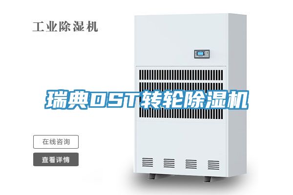 瑞典DST轉輪草莓污视频在线看