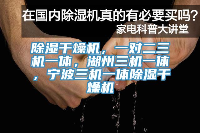 除濕幹燥機，一對二三機一體，湖州三機一體，寧波三機一體除濕幹燥機