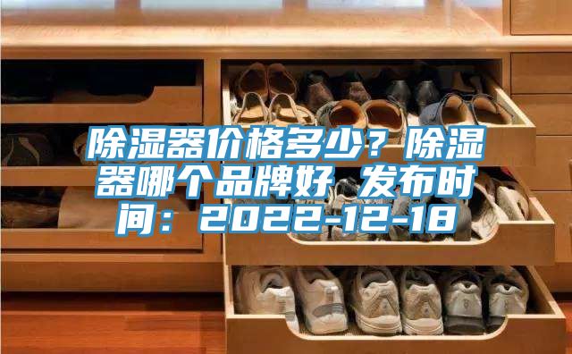 除濕器價格多少？除濕器哪個品牌好 發布時間：2022-12-18