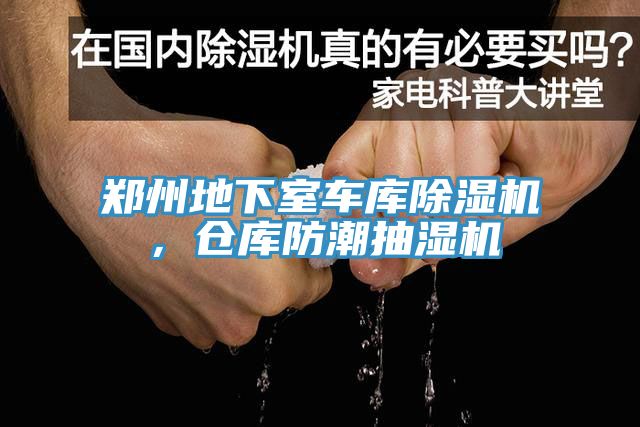 鄭州地下室車庫草莓污视频在线看，倉庫防潮抽濕機