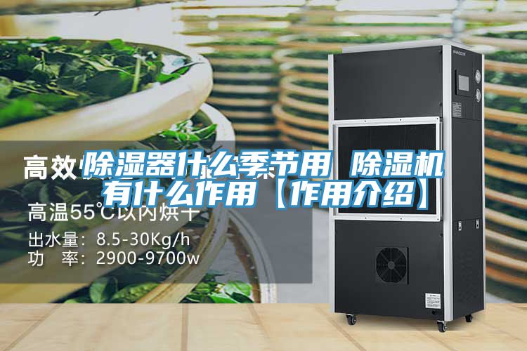除濕器什麽季節用 草莓污视频在线看有什麽作用【作用介紹】