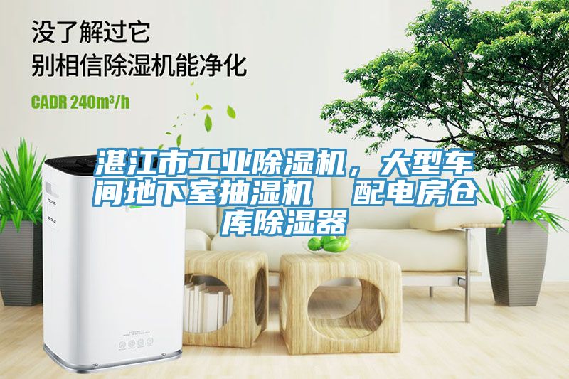 湛江市工業草莓污视频在线看，大型車間地下室抽濕機  配電房倉庫除濕器