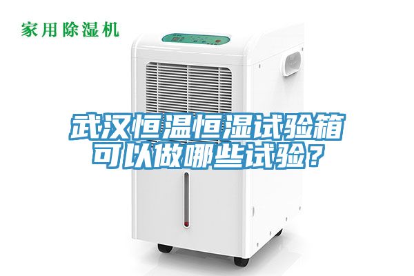 武漢恒溫恒濕試驗箱可以做哪些試驗？