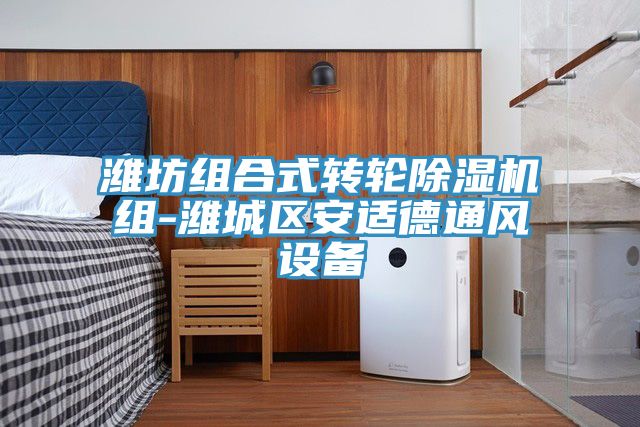濰坊組合式轉輪草莓污视频在线看組-濰城區安適德通風設備