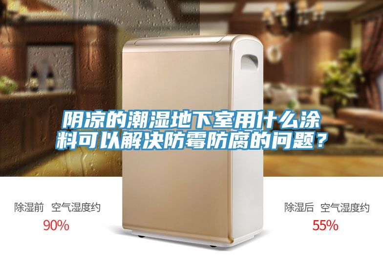 陰涼的潮濕地下室用什麽塗料可以解決防黴防腐的問題？