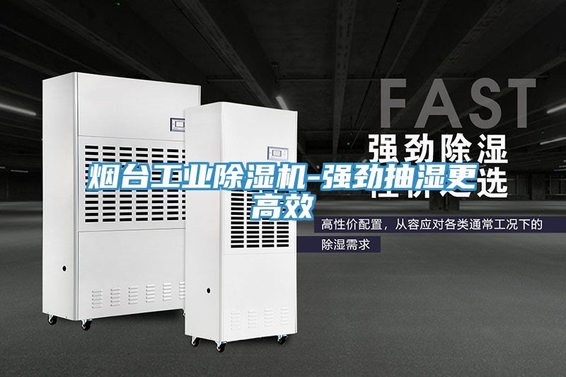 煙台工業草莓污视频在线看-強勁抽濕更高效