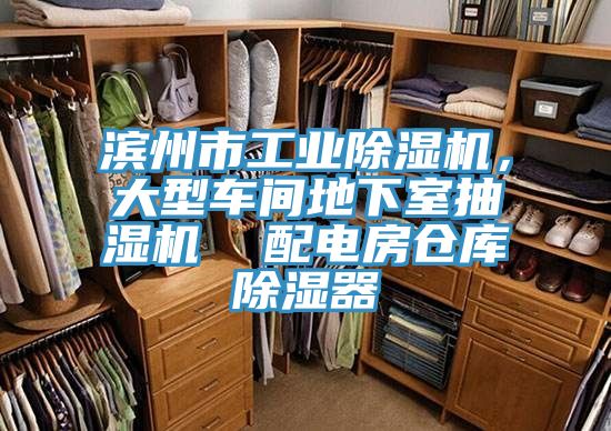濱州市工業草莓污视频在线看，大型車間地下室抽濕機  配電房倉庫除濕器