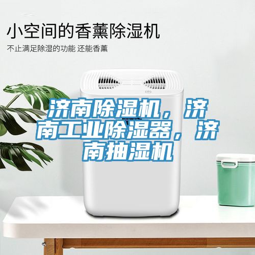 濟南草莓污视频在线看，濟南工業除濕器，濟南抽濕機