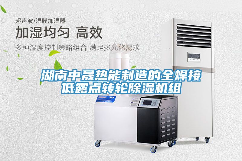湖南中晟熱能製造的全焊接低露點轉輪草莓污视频在线看組