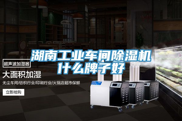 湖南工業車間草莓污视频在线看什麽牌子好