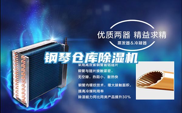 鋼琴倉庫草莓污视频在线看