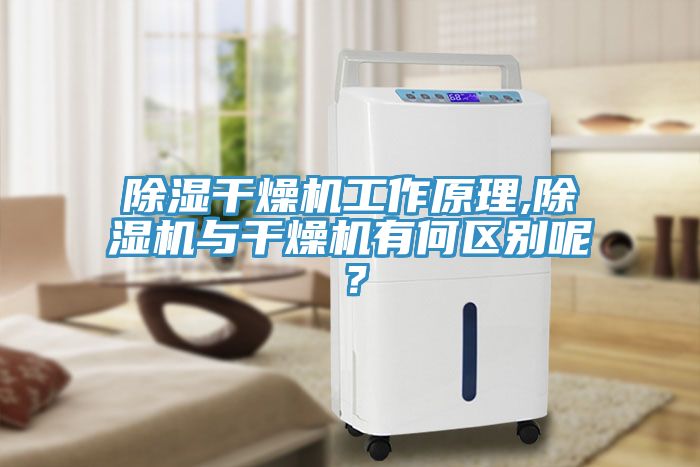 除濕幹燥機工作原理,草莓污视频在线看與幹燥機有何區別呢？