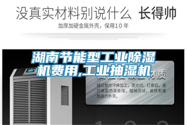 湖南節能型工業草莓污视频在线看費用,工業抽濕機
