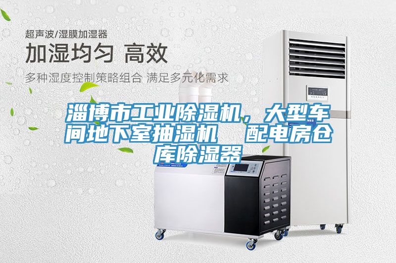 淄博市工業草莓污视频在线看，大型車間地下室抽濕機  配電房倉庫除濕器