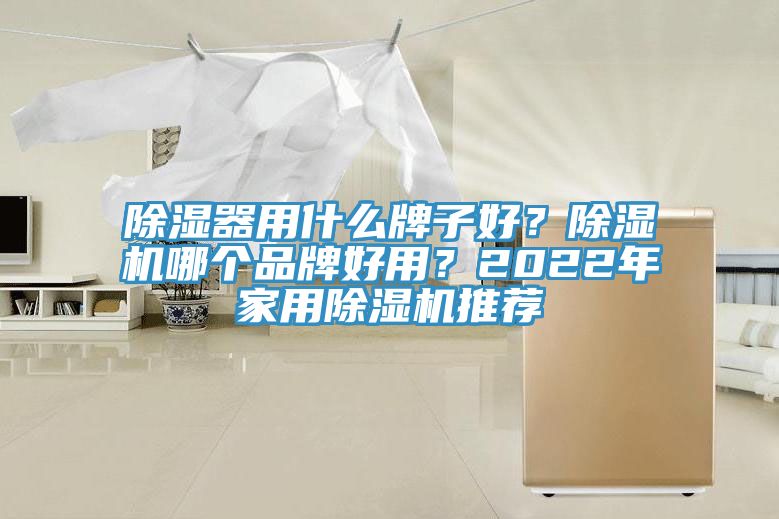 除濕器用什麽牌子好？草莓污视频在线看哪個品牌好用？2022年家用草莓污视频在线看推薦