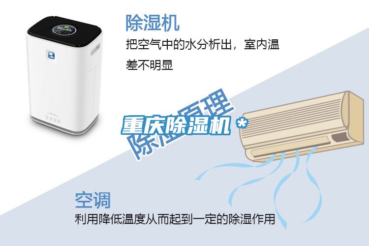 重慶草莓污视频在线看＊