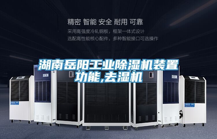 湖南嶽陽工業草莓污视频在线看裝置功能,去濕機