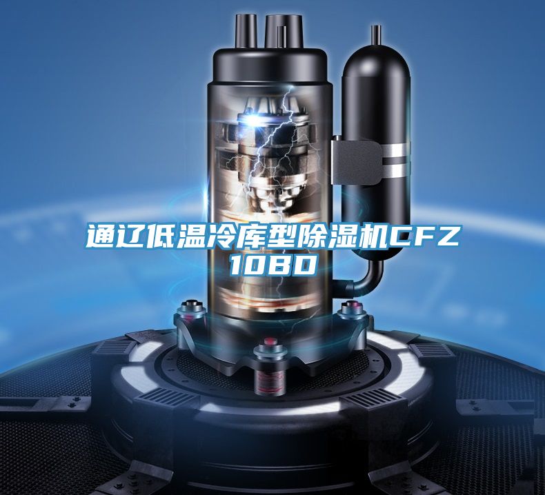 通遼低溫冷庫型草莓污视频在线看CFZ10BD