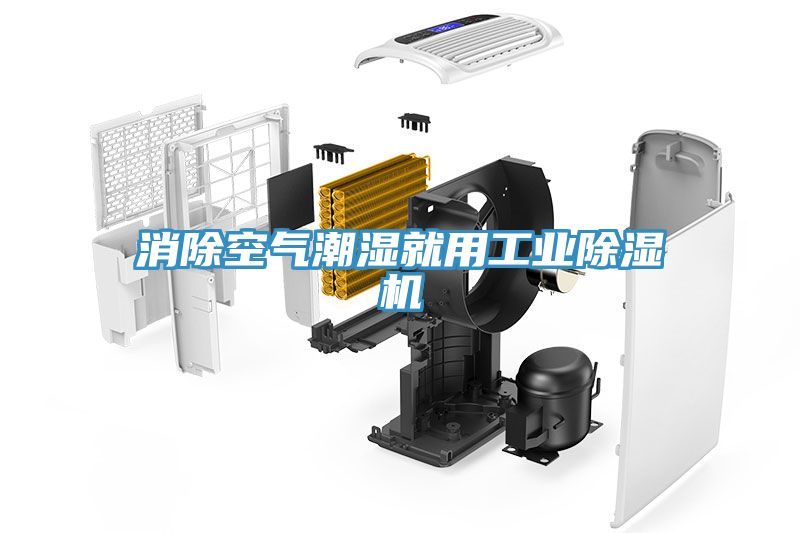 消除空氣潮濕就用工業草莓污视频在线看