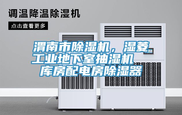 渭南市草莓污视频在线看，濕菱工業地下室抽濕機  庫房配電房除濕器