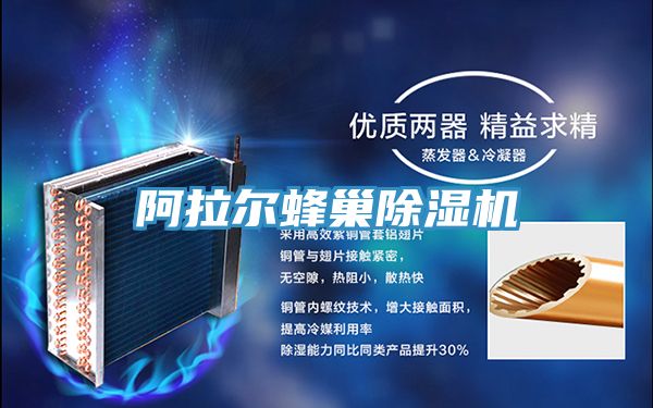 阿拉爾蜂巢草莓污视频在线看