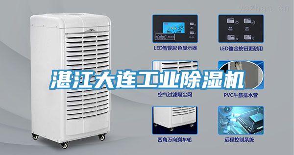 湛江大連工業草莓污视频在线看