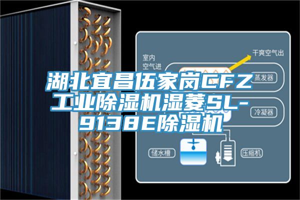 湖北宜昌伍家崗CFZ工業草莓污视频在线看濕菱SL-9138E草莓污视频在线看