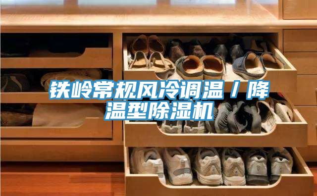 鐵嶺常規風冷調溫／降溫型草莓污视频在线看
