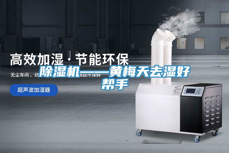 草莓污视频在线看——黃梅天去濕好幫手