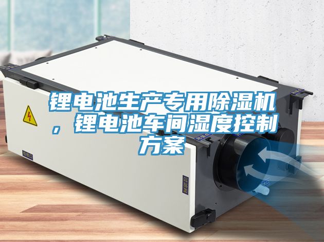 鋰電池生產專用草莓污视频在线看，鋰電池車間濕度控製方案