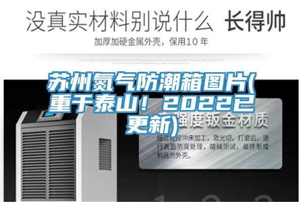 蘇州氮氣防潮箱圖片(重於泰山！2022已更新)
