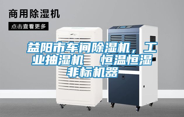 益陽市車間草莓污视频在线看，工業抽濕機  恒溫恒濕非標機器