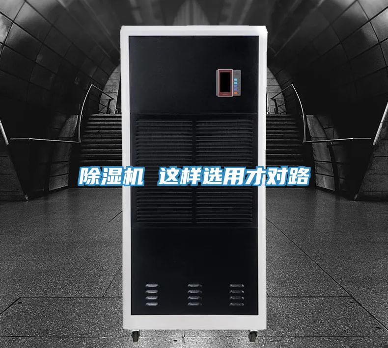 草莓污视频在线看 這樣選用才對路