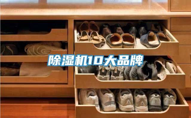 草莓污视频在线看10大品牌