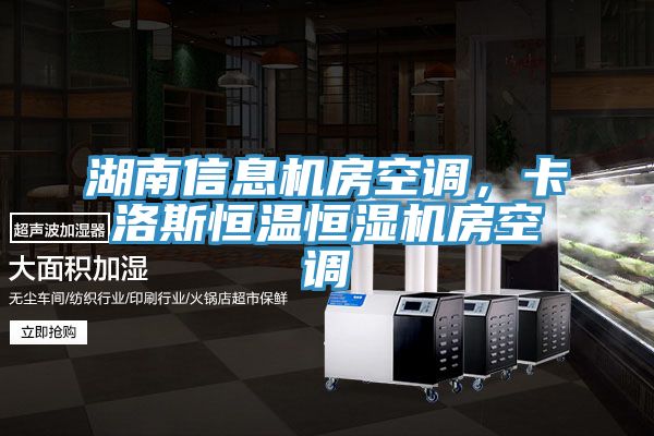 湖南信息機房空調，卡洛斯恒溫恒濕機房空調